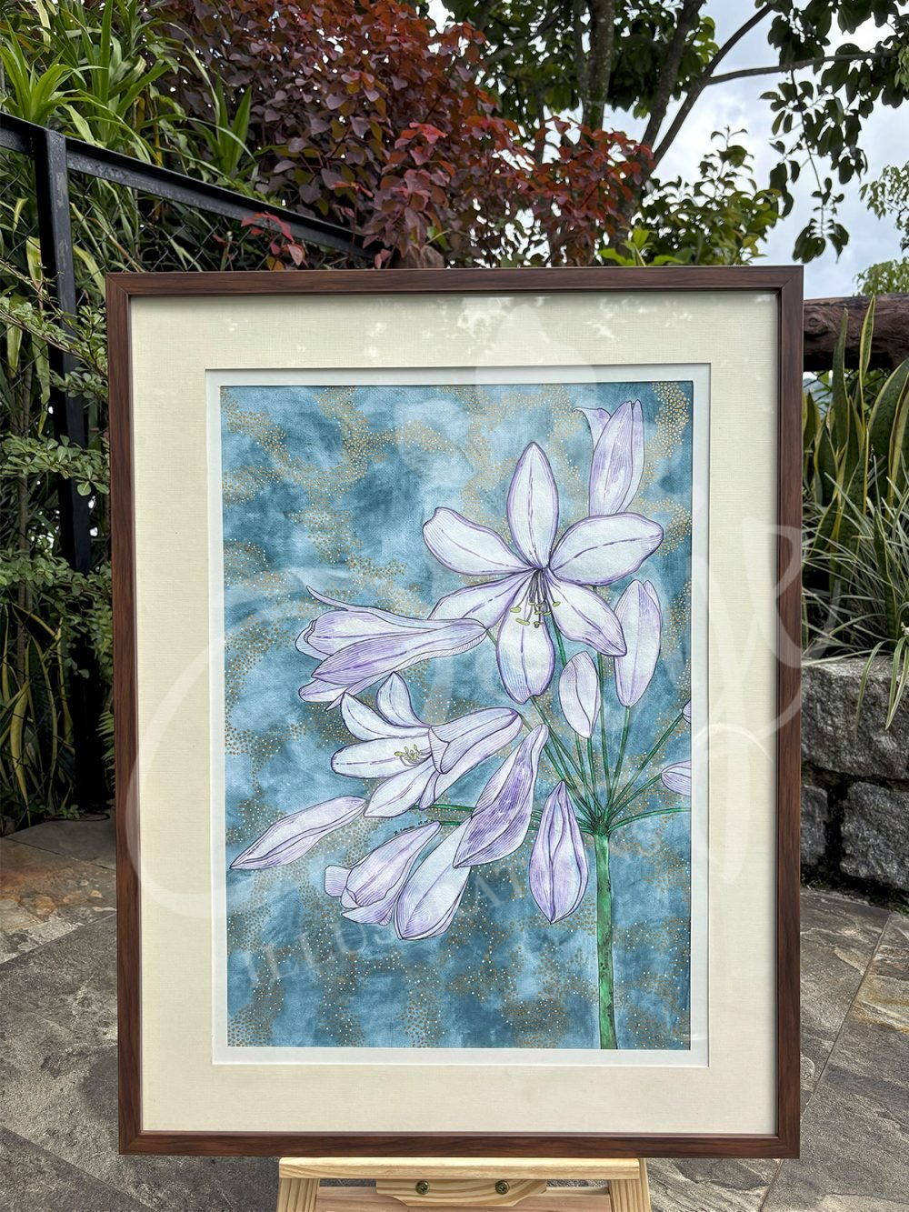 African Lily in Sunlight