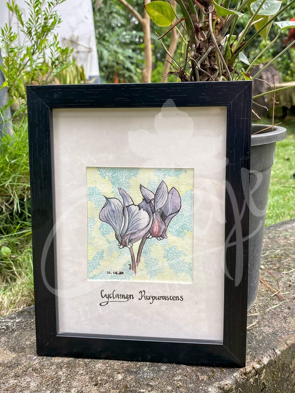 Small Botany Flower 3