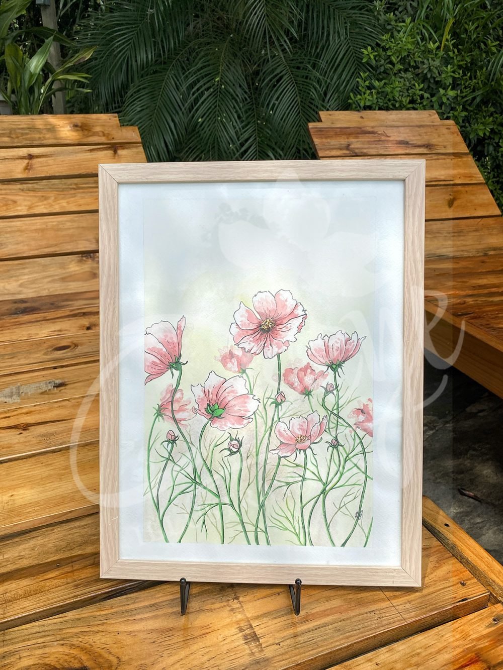 Cosmos in Sunlight