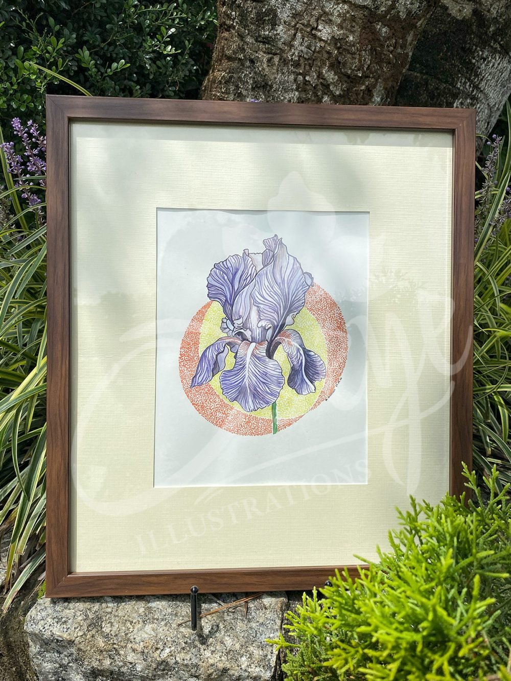 Iris with a Halo