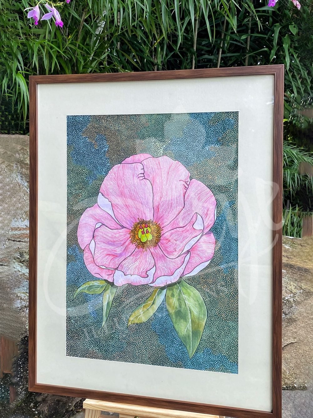 Salmon Saucer Peony at Night