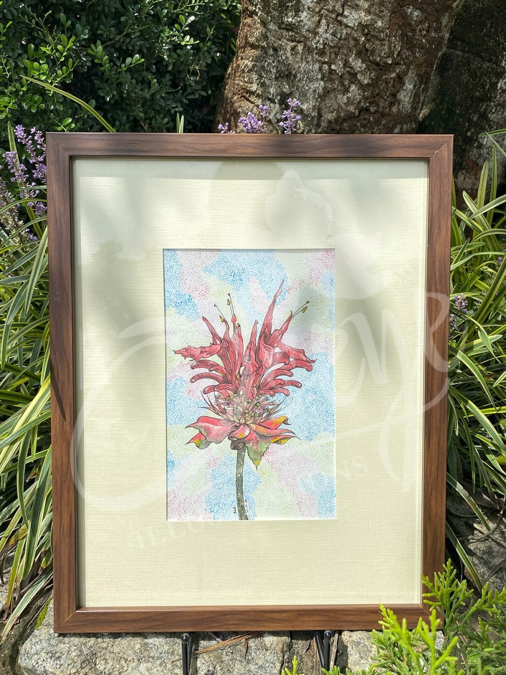 Red Bee Balm